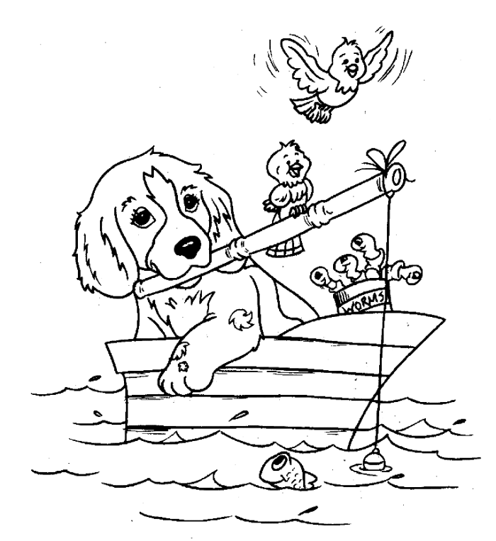 Pesca De Perro