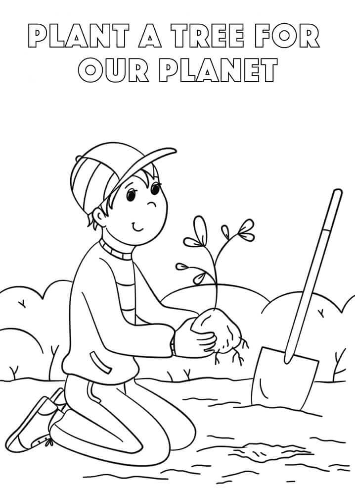 Plantar un Árbol