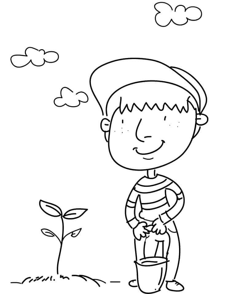 Plantar un Arbol