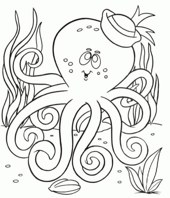 Pulpo con Sombrero