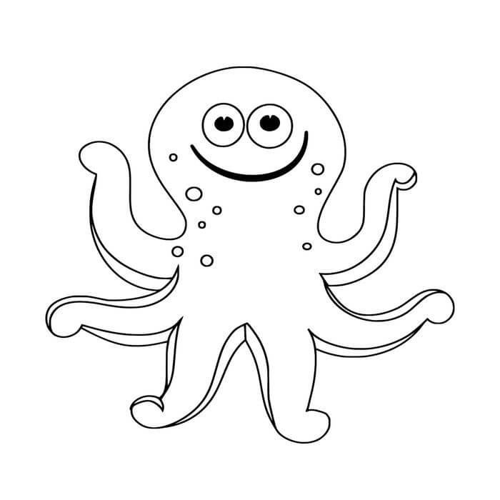 Pulpo Dulce