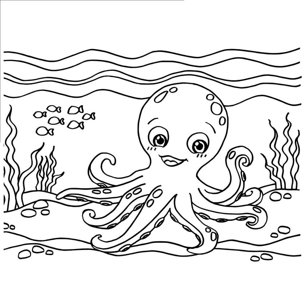 Pulpo Esponjoso