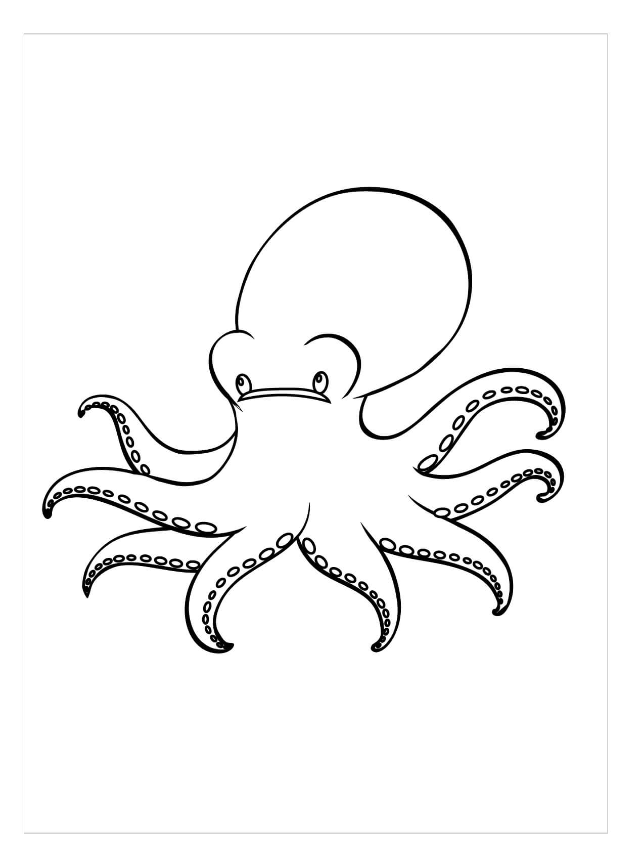 Pulpo Gigante