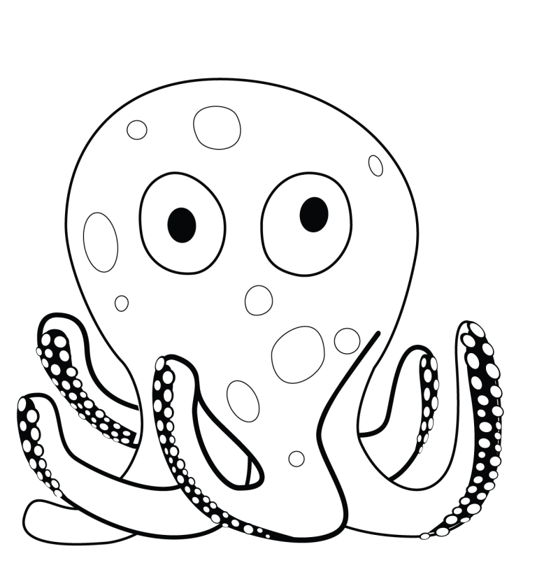 Pulpo Lindo