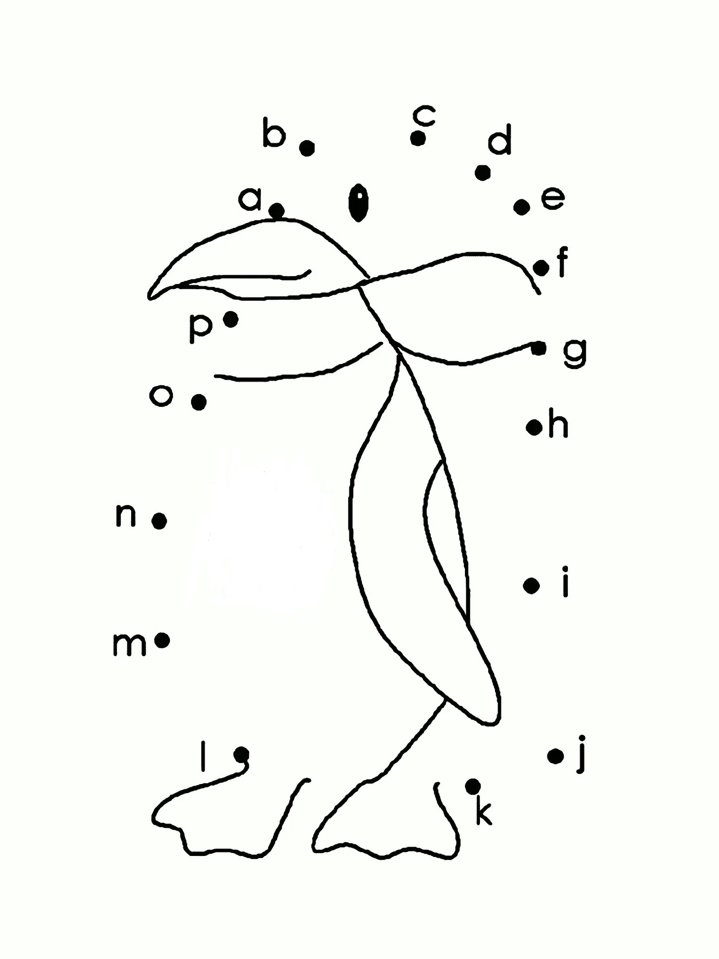 Punto De Pingüino A Puntos