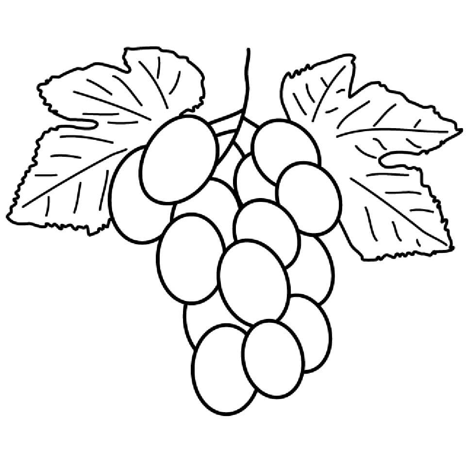 Racimo de Uvas