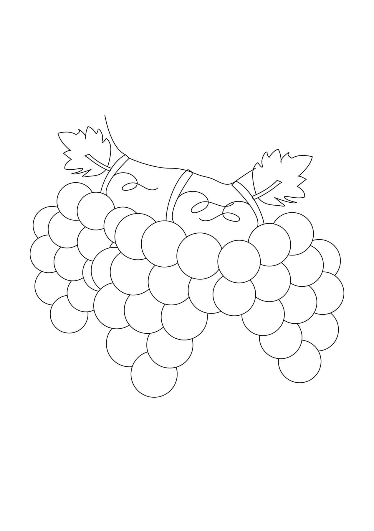 Rama de Uvas