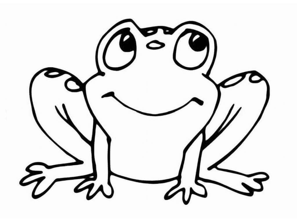 Rana Divertida
