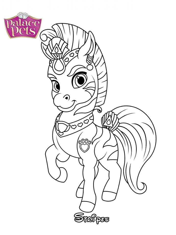 Rayas La Princesa Cebra