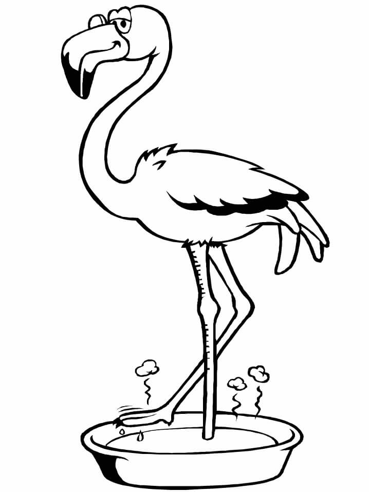 Remojo de Flamencos