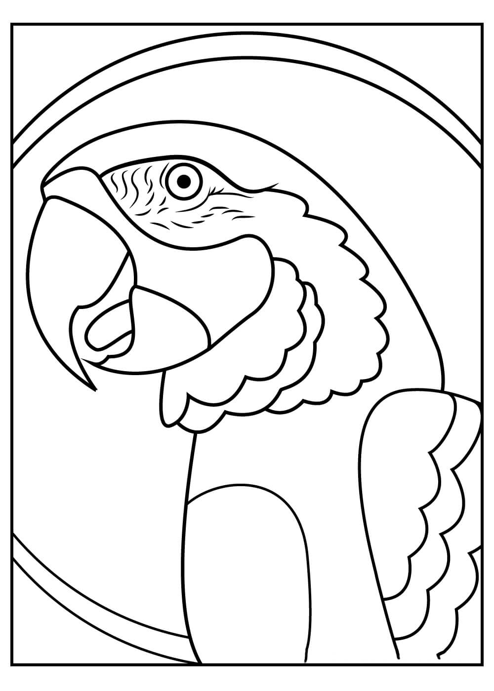 Retrato de Loro