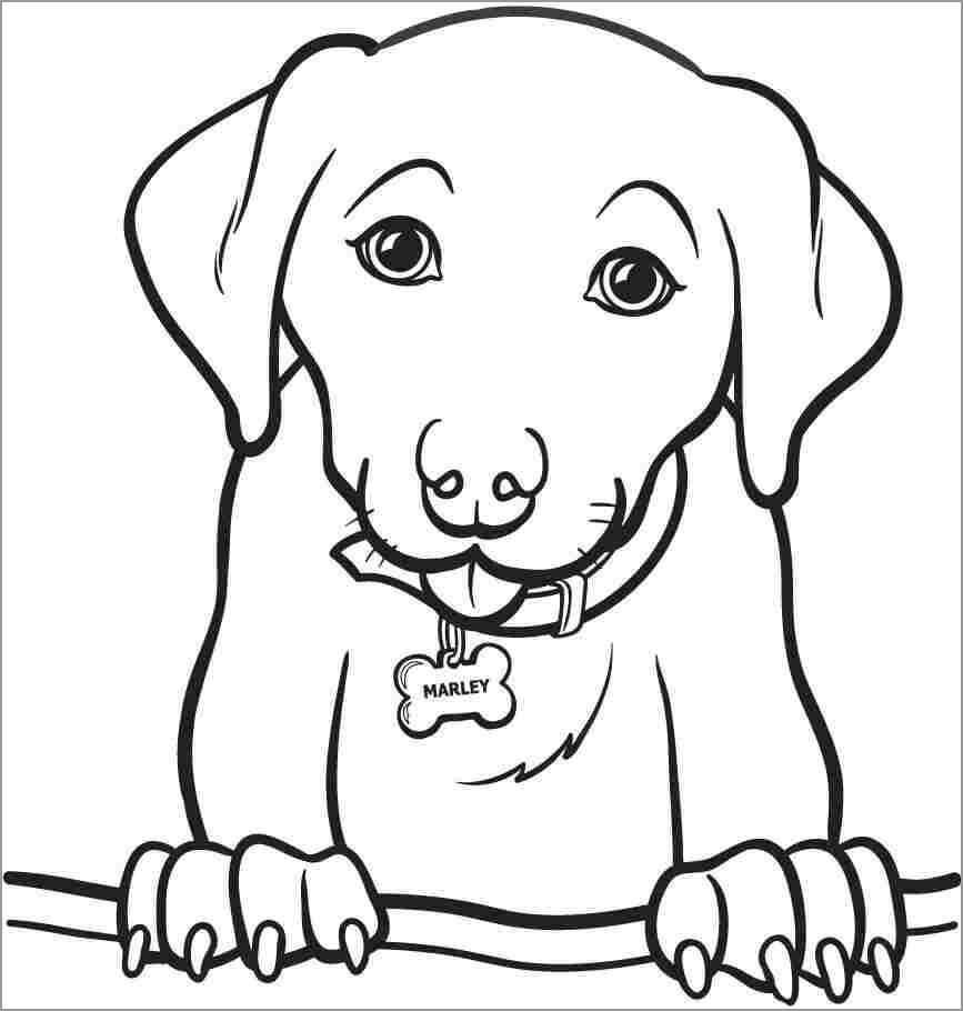 Retrato de Perro