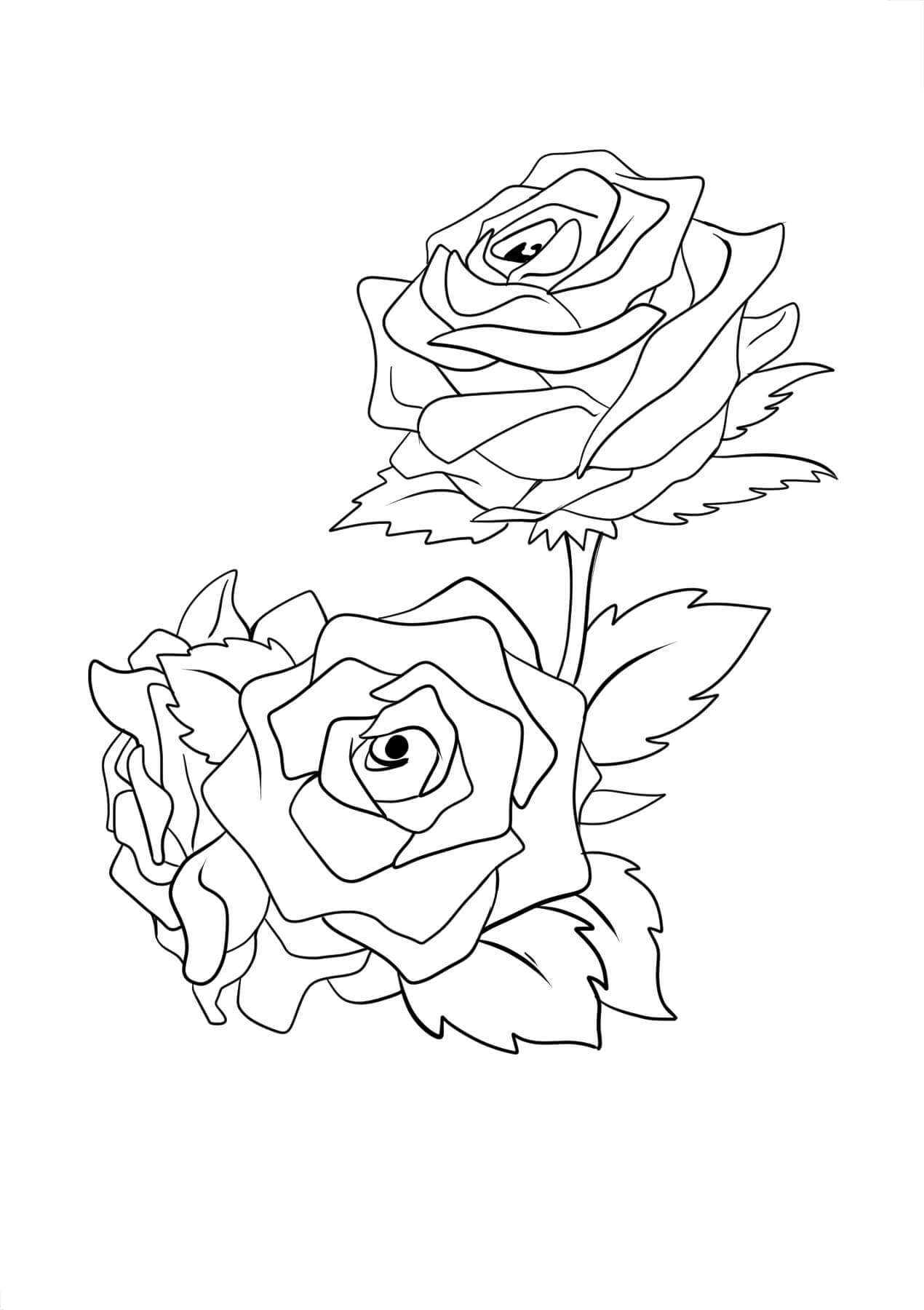 Rosa Asombrosa