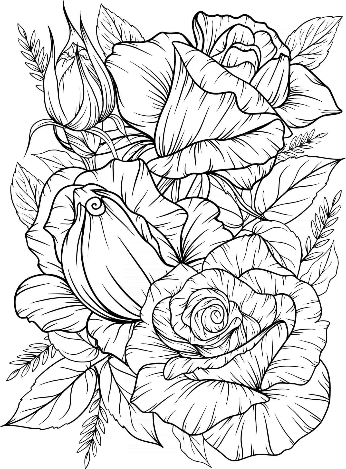 Rosas Bonitas