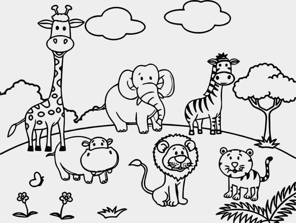Seis Animales en el Zoológico