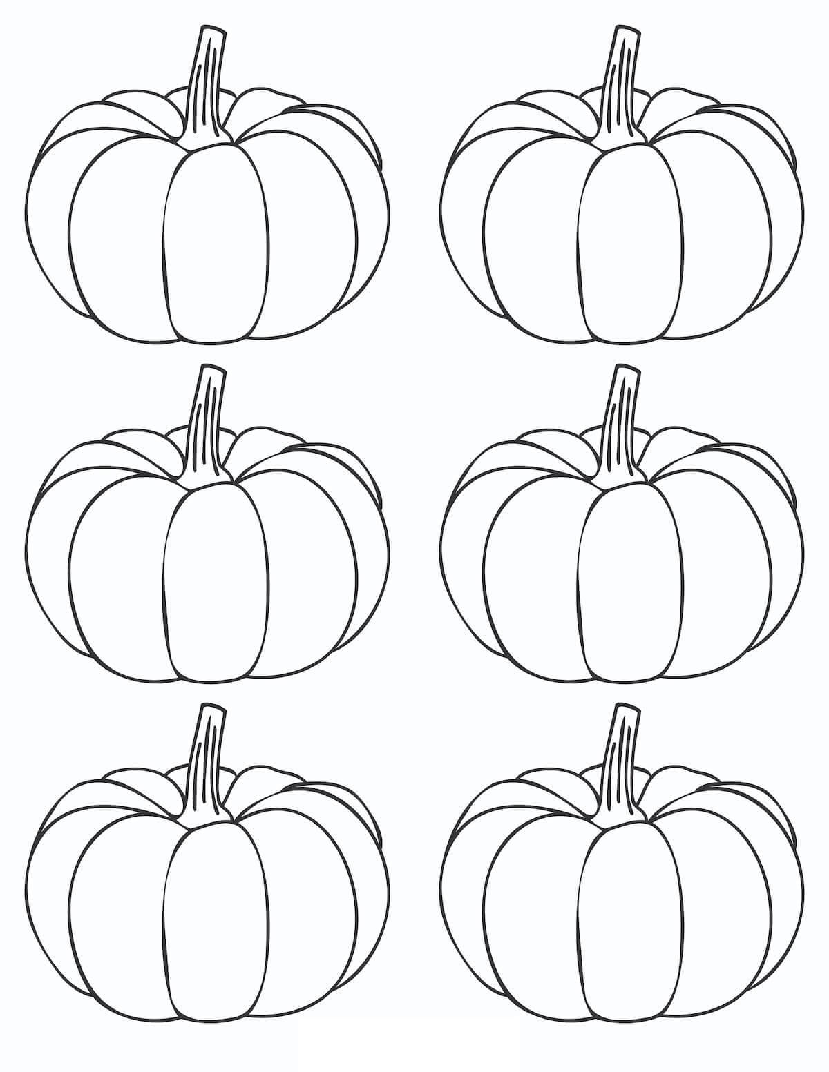 Seis Calabazas