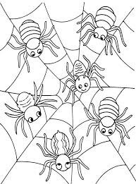 Seis nidos de Araña