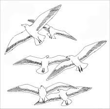 Seis Pares de Gaviotas