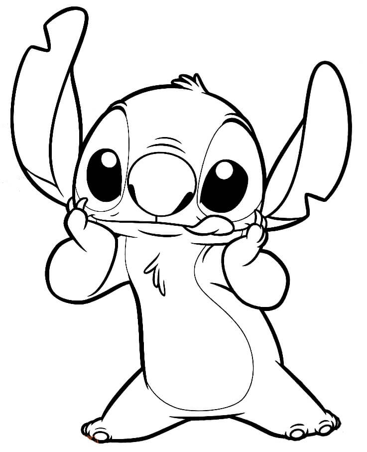 Stitch Básica