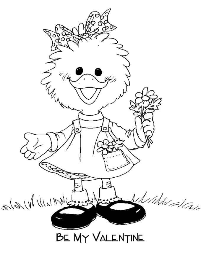 Pato