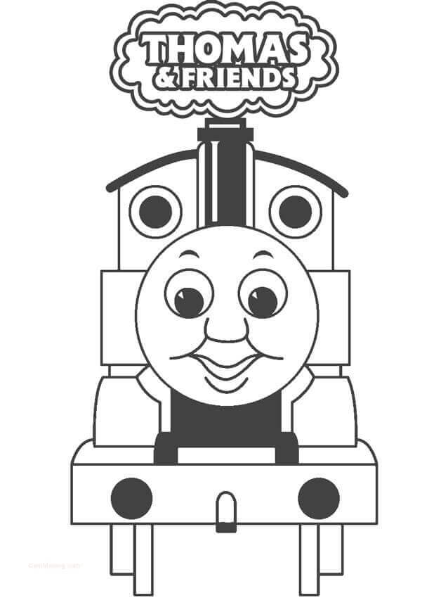 Thomas Y Amigo