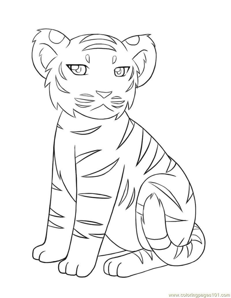 Tigre Bebé