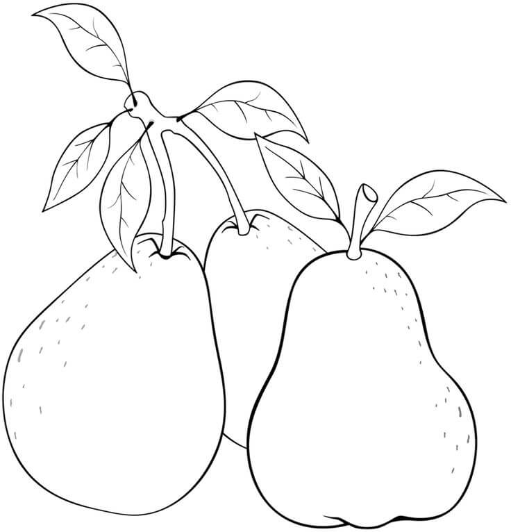 Tres Guayaba