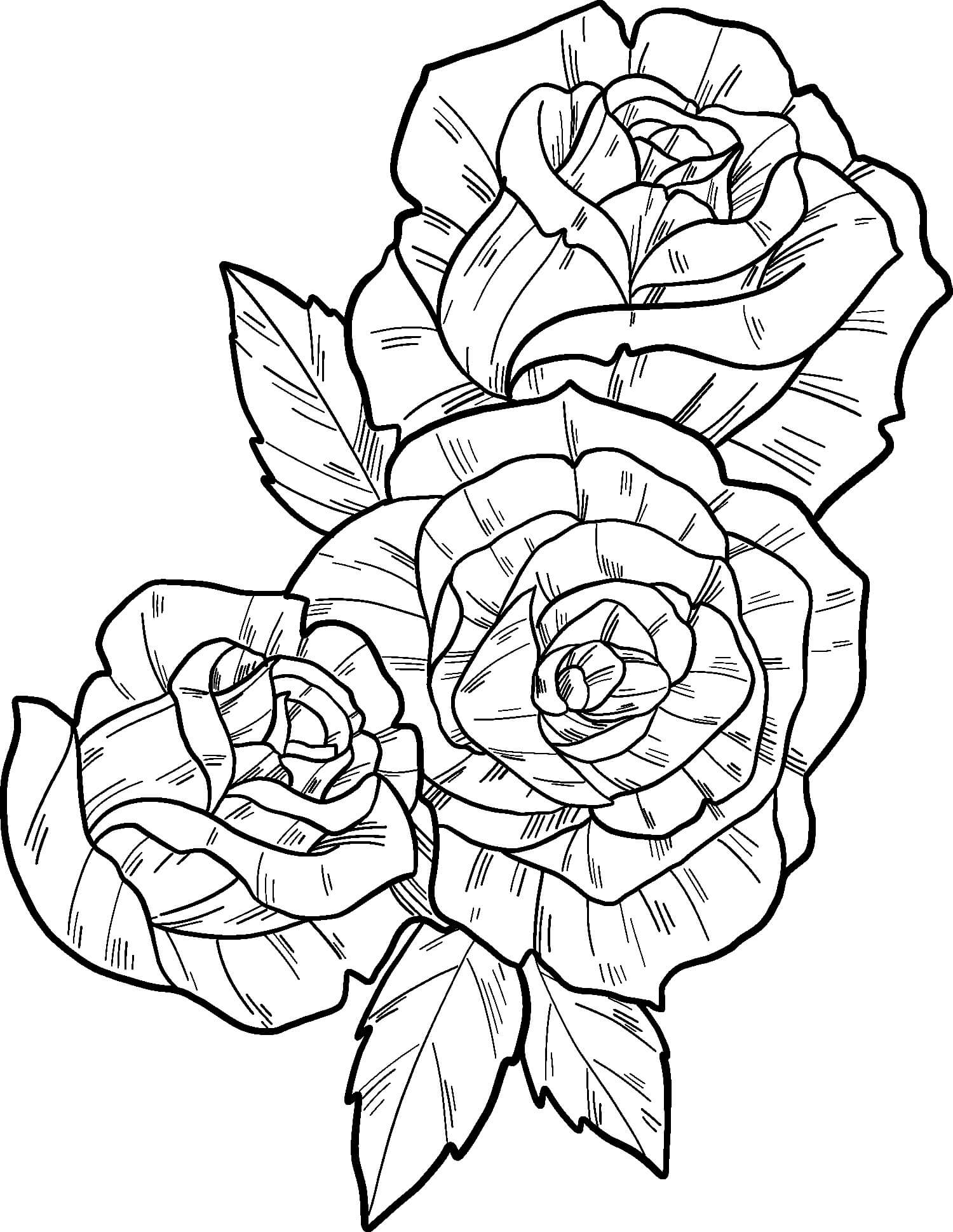 Tres Hermosas Rosas