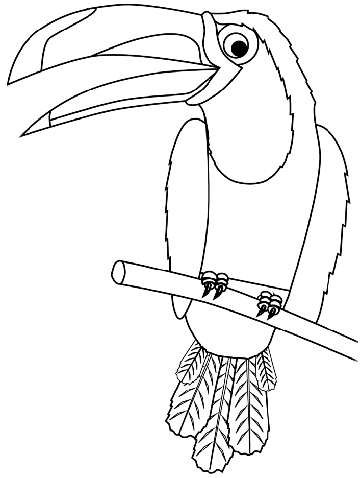 Pájaro