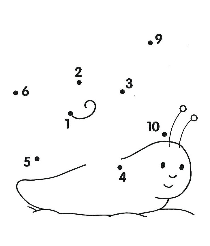 Un Caracol Punto A Puntos