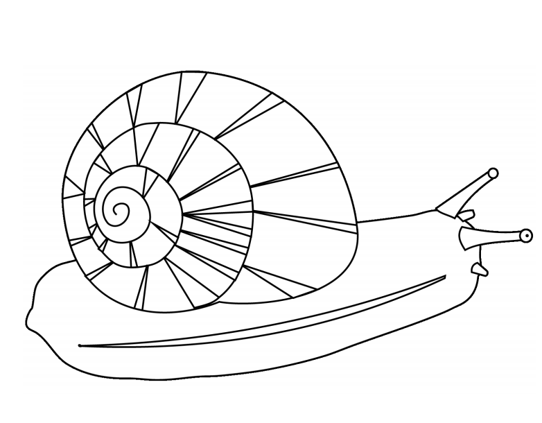 Un Caracol