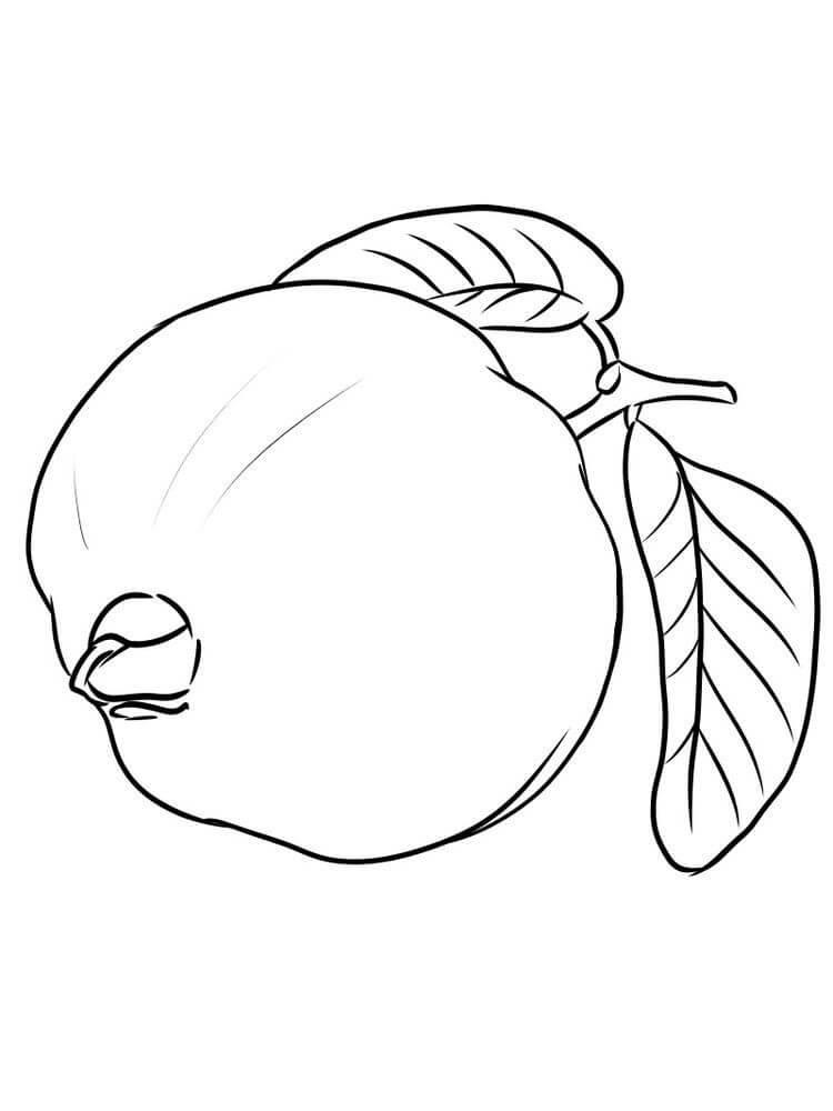 Una Guayaba