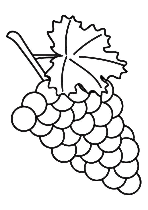Uvas Adorables