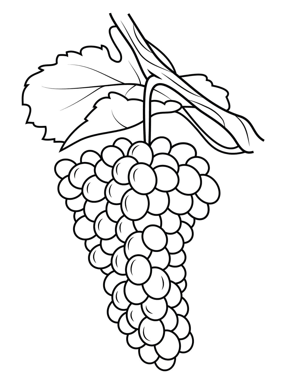 Uvas