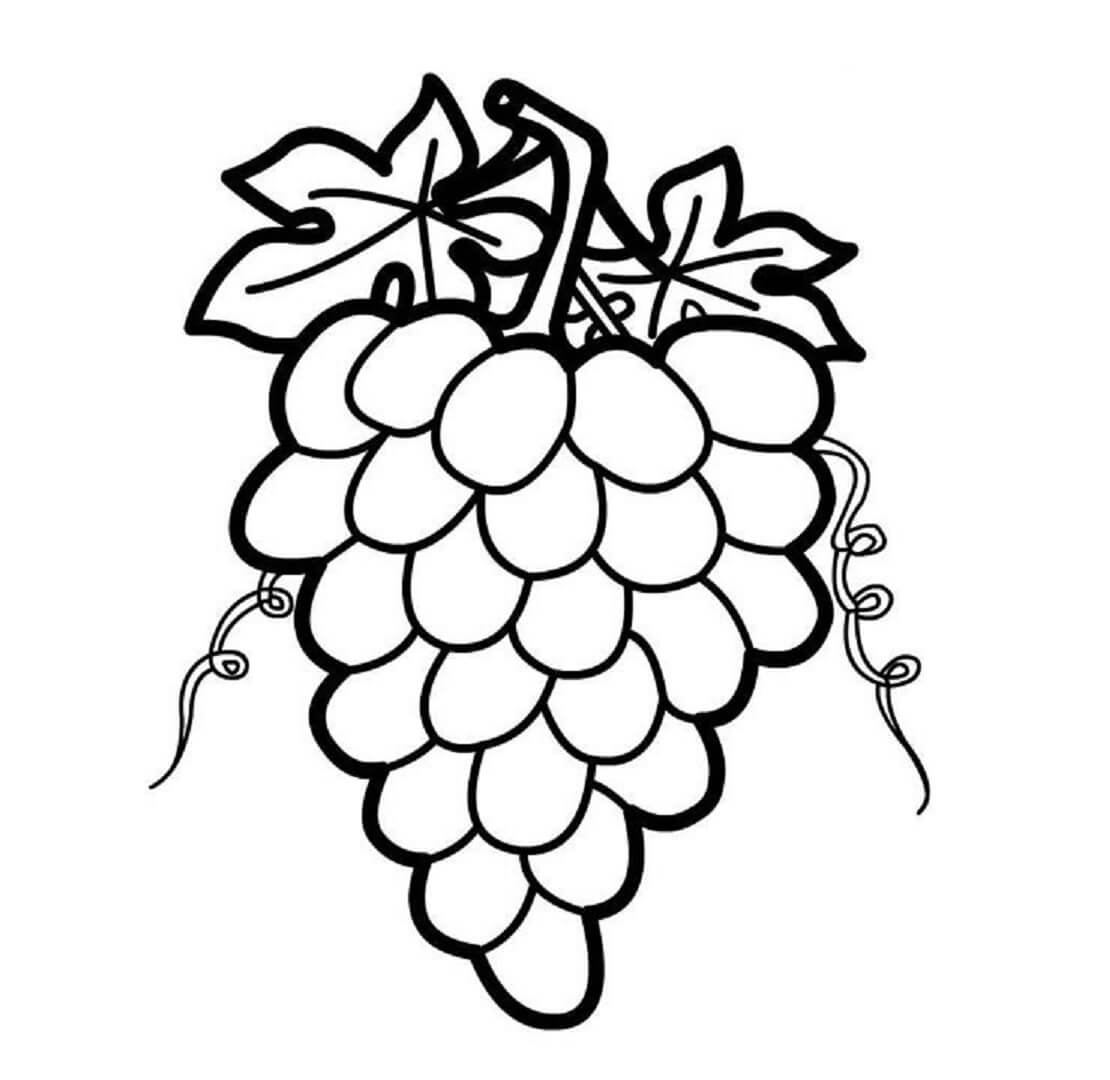 Uvas Básicas con Hojas