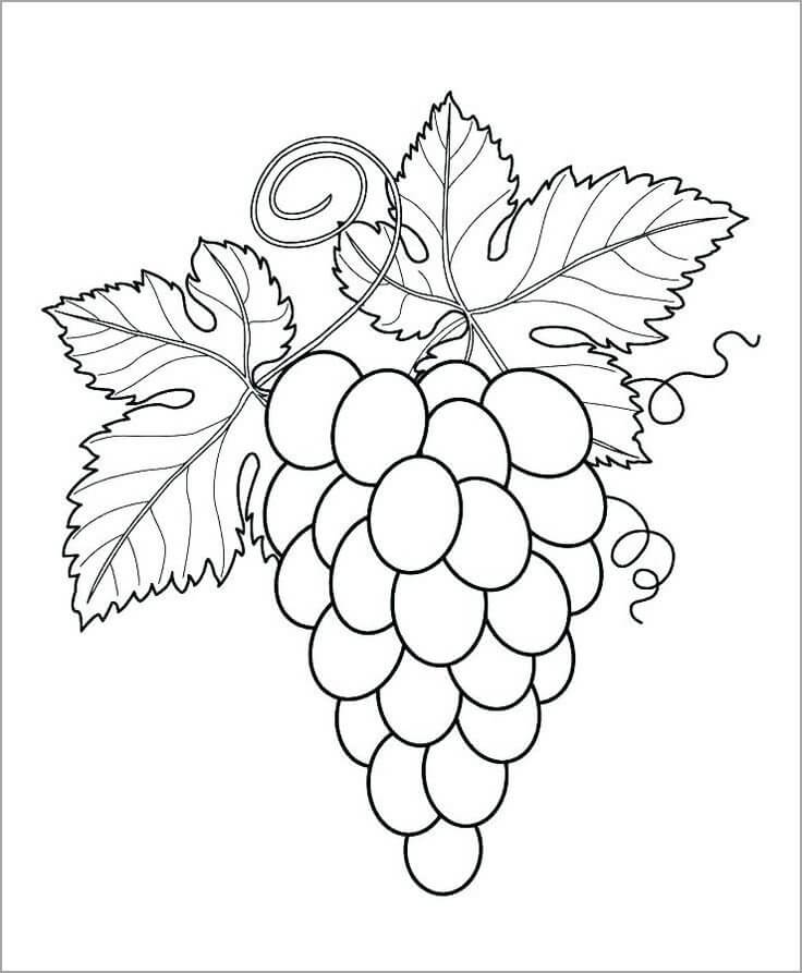Uvas con Dos Hojas