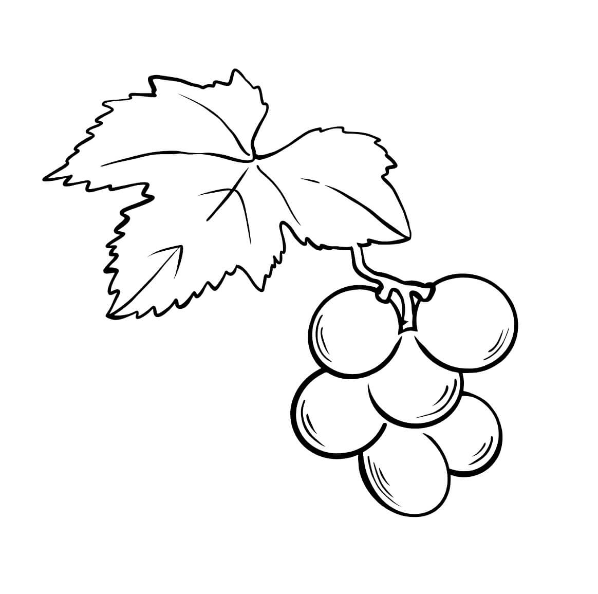 Uvas con Hoja