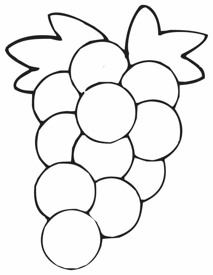 Uvas de Diseño Básico
