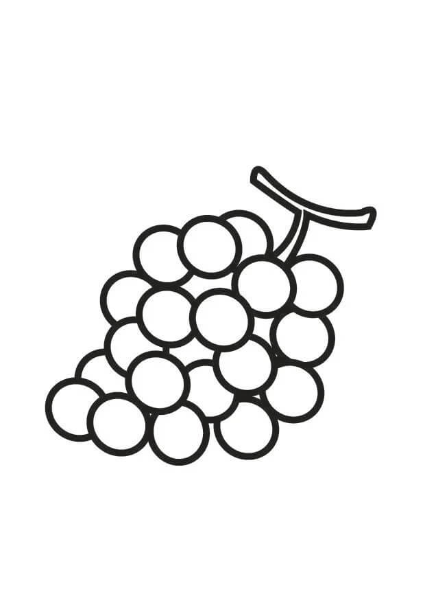 Uvas Faciles