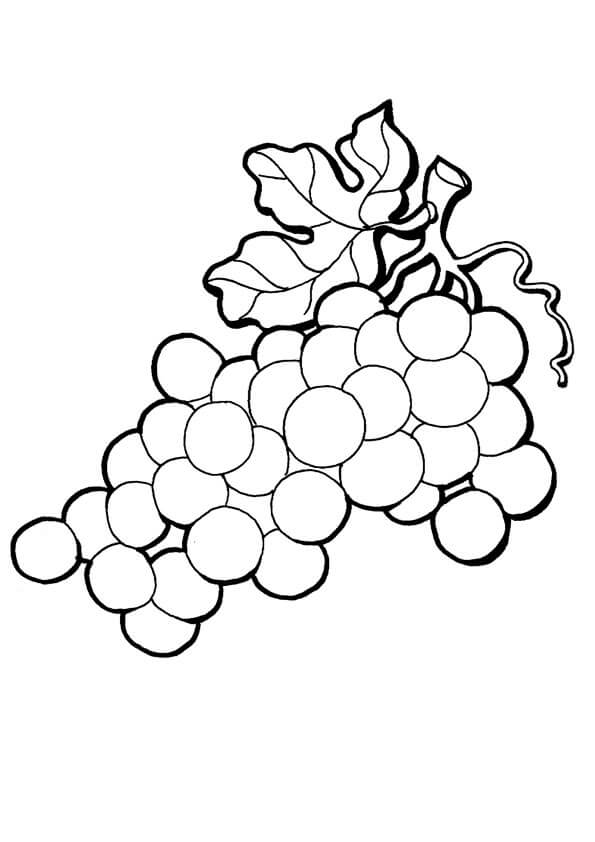 Uvas Grandes