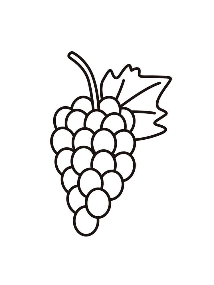 Uvas Muy Fáciles