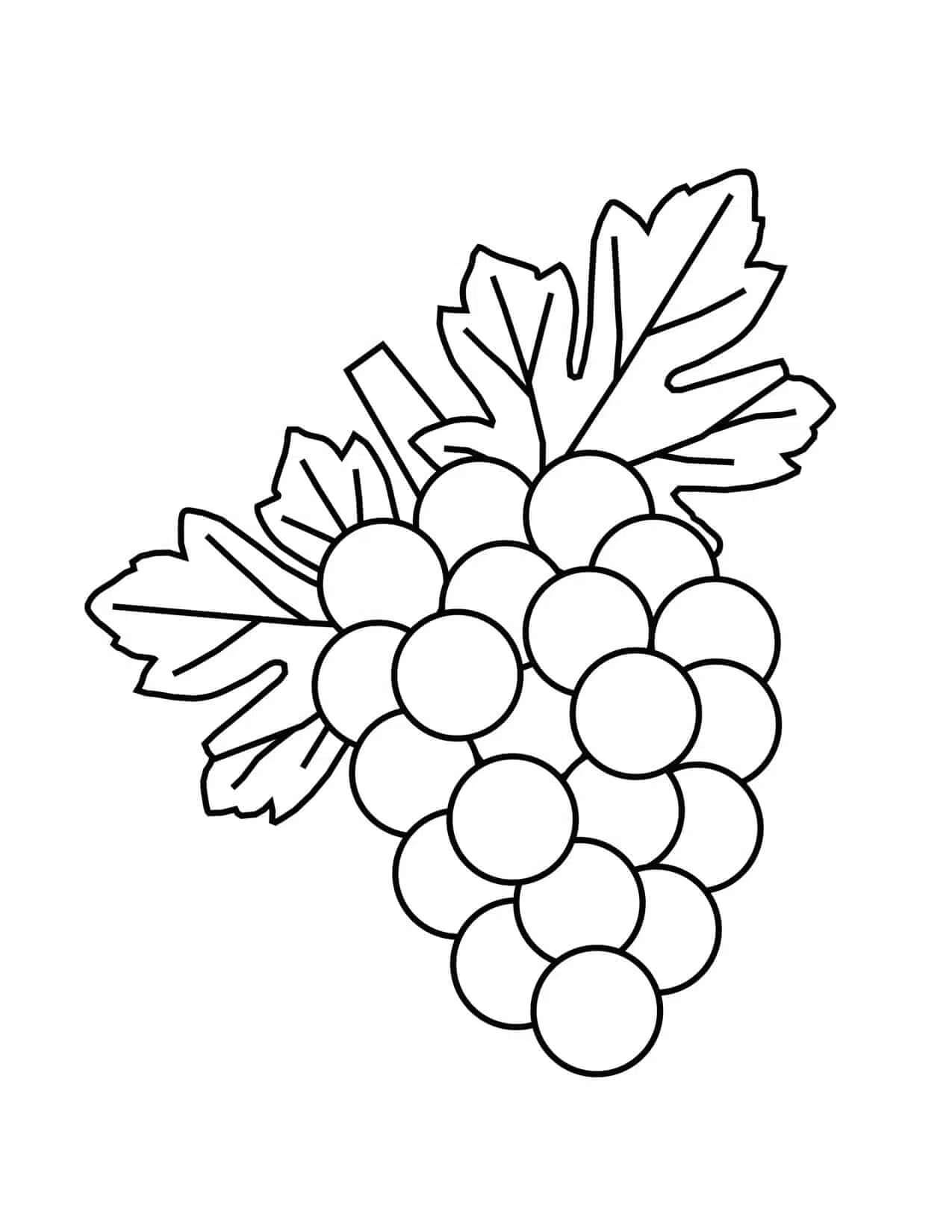 Uvas Normales