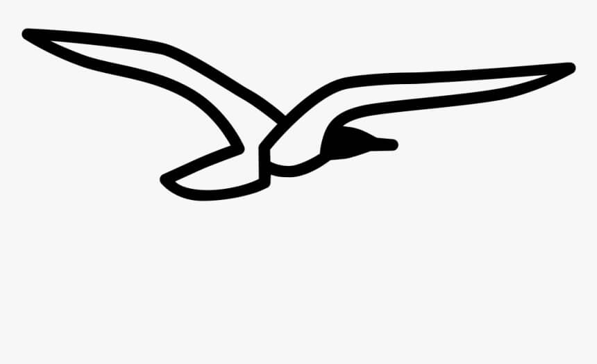 Vector de Gaviota