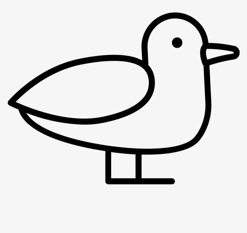 Vector de Pie de Gaviota