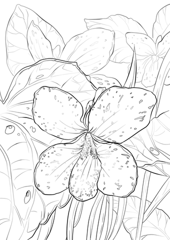 1527064682_blue-violet-coloring-page