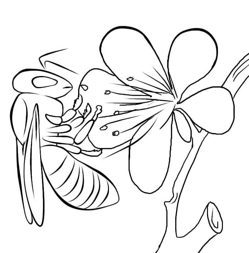 Abeja Básica con Flor