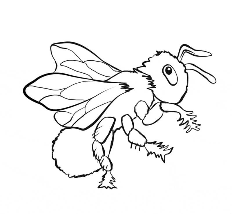 Abeja Increíble