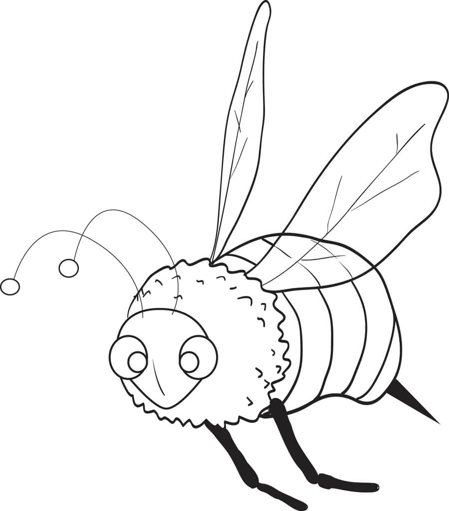 Abeja Perfecta