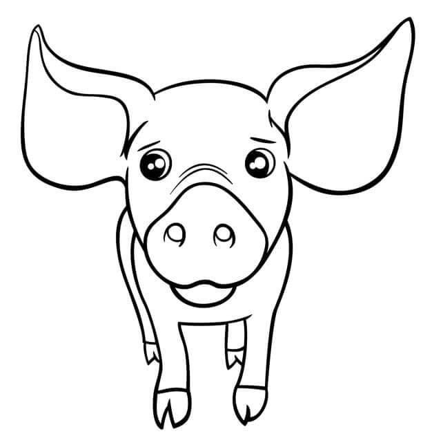 Adorable Cerdo