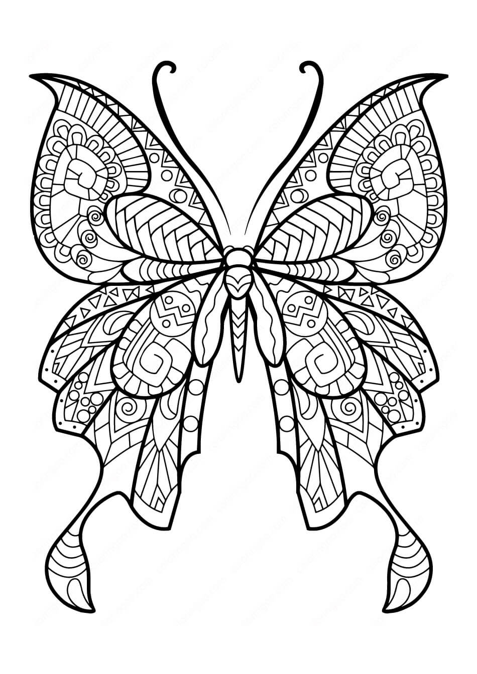 Adorable Mariposa
